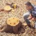 How to Remove a Tree Stump Painlessly