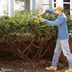Bush Pruning Tips for Healthier Bushes