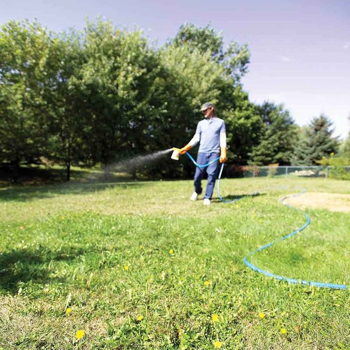 Use liquid broadleaf weed killers