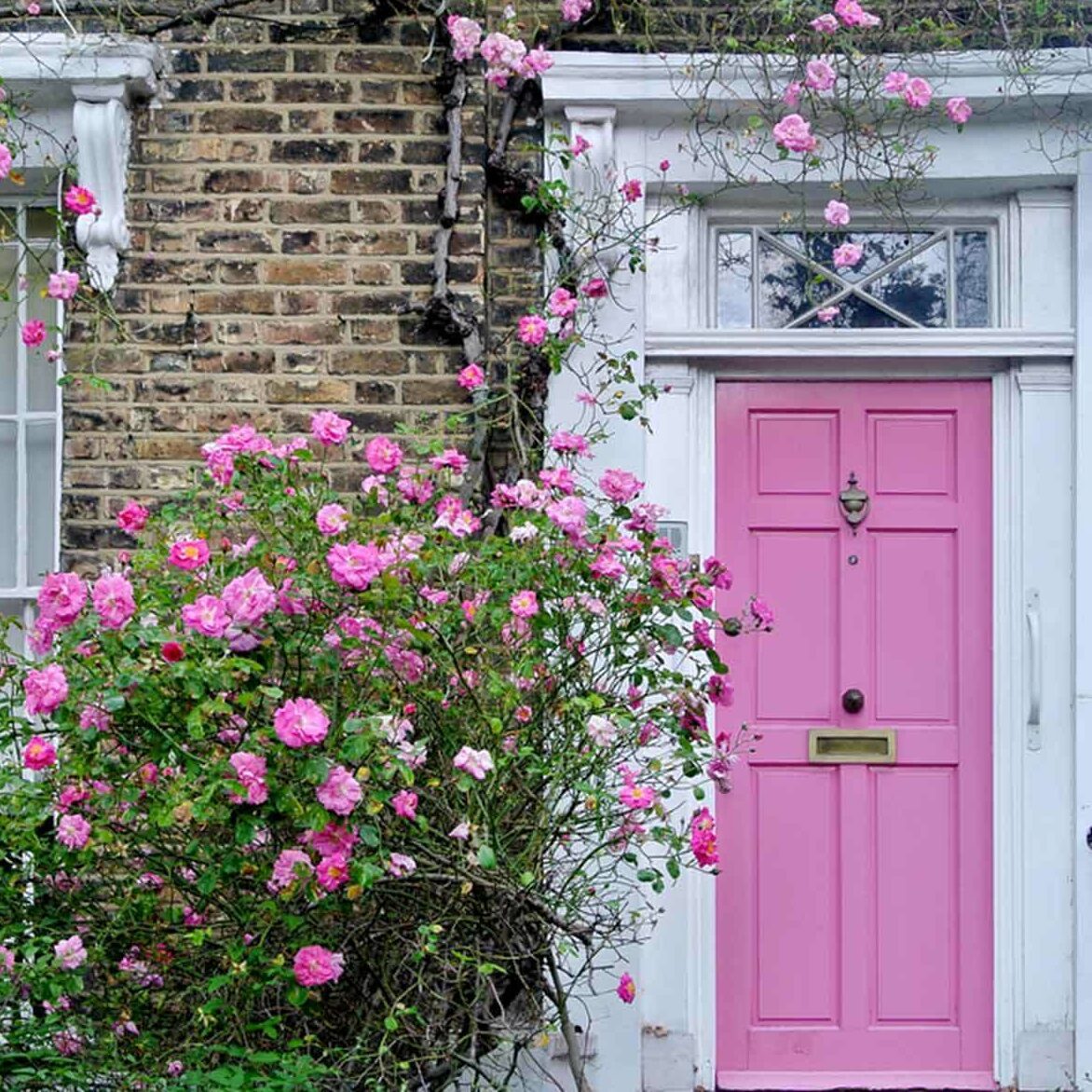 pink front door