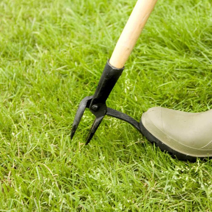 A gardening tool is poised above lush green grass, ready to dig into the soil, indicating active gardening work in a natural outdoor setting.