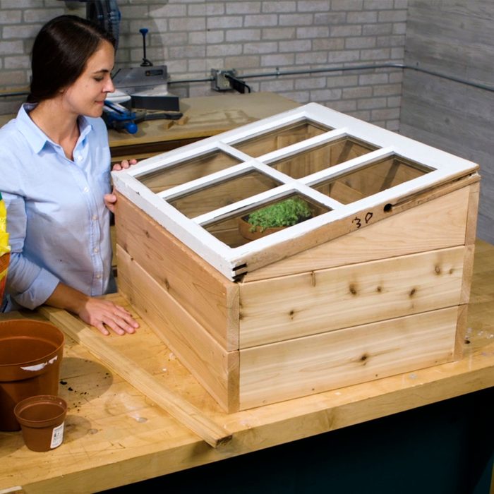 A woman inspects a wooden planter box with a glass lid, containing a small plant, on a workbench in a workshop.