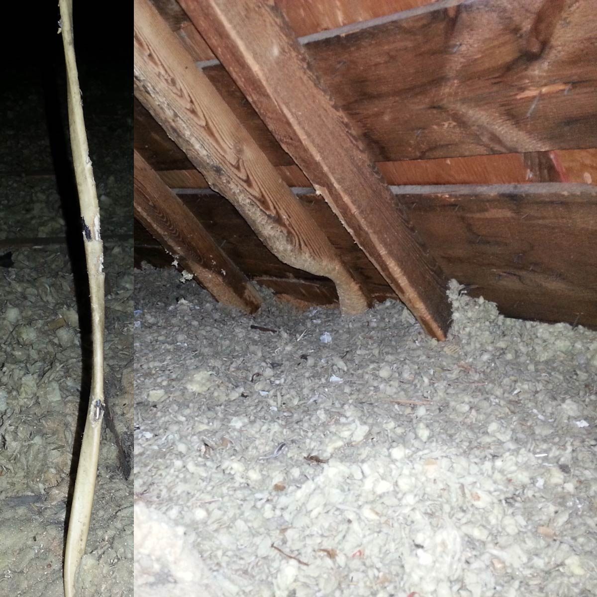 A narrow stick leans against a wooden beam in a dimly lit attic, surrounded by insulation material scattered across the floor.