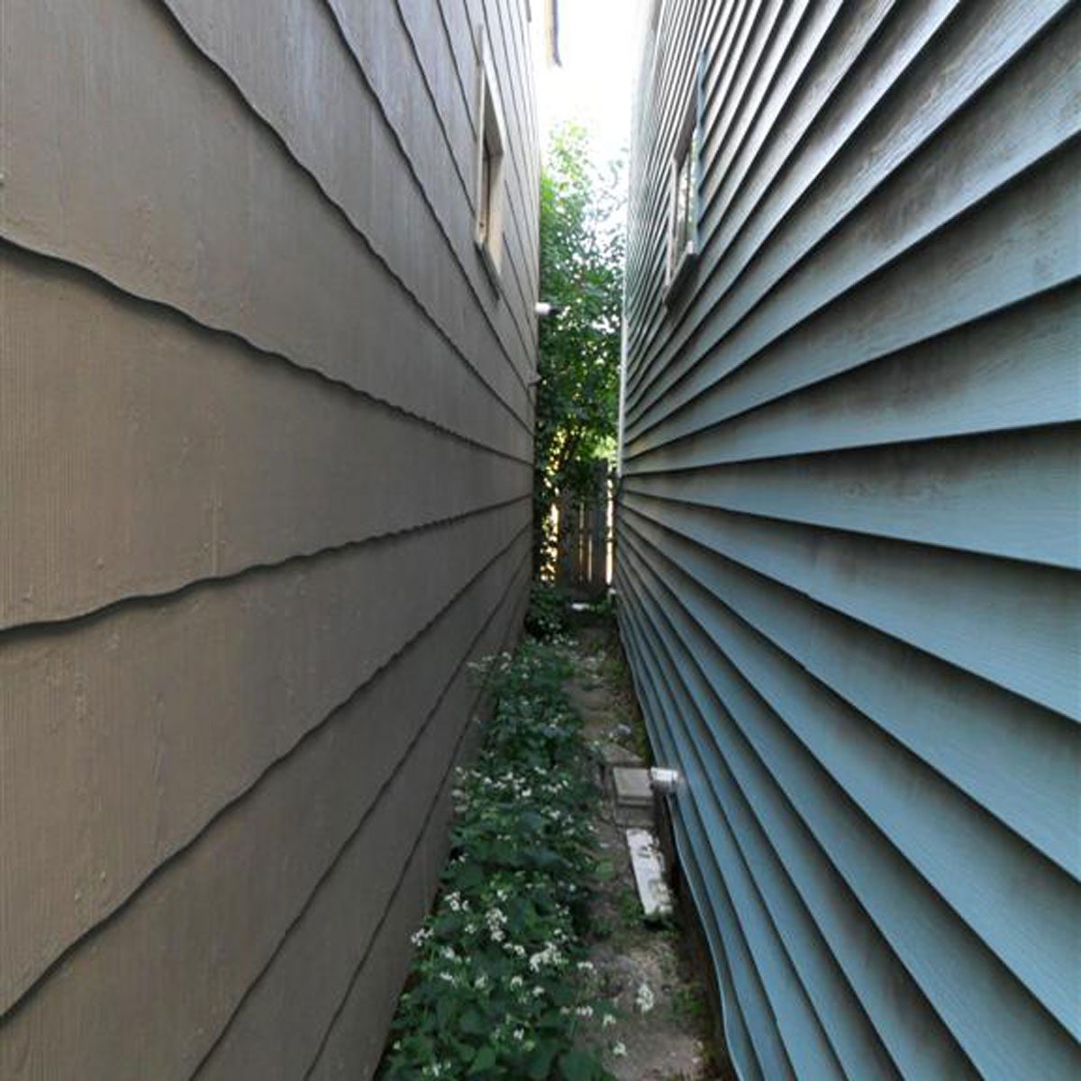 A narrow passage between two houses contains overgrown grass and flowers, with one side painted brown and the other blue, under natural lighting.