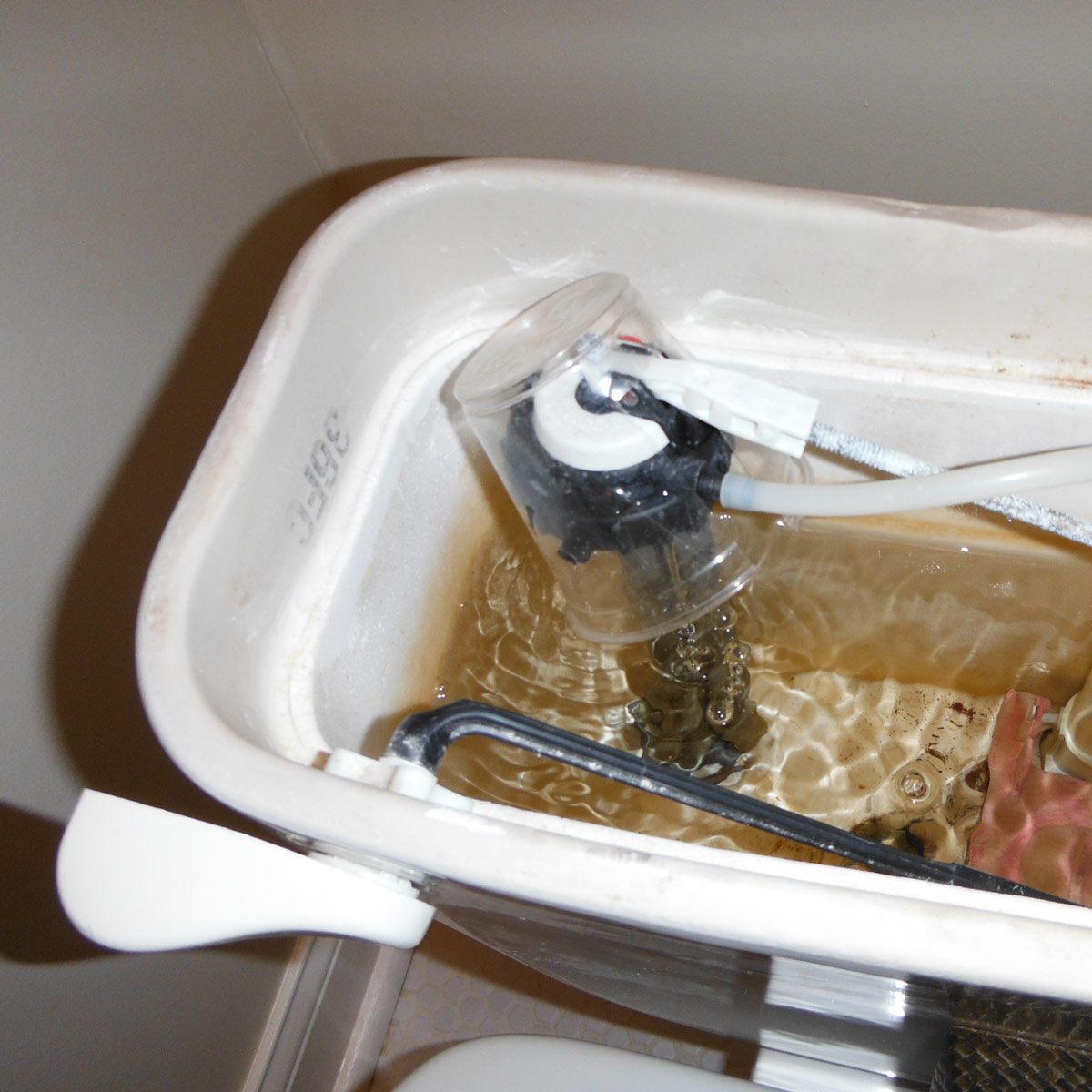 A toilet tank filled with murky water contains a visible float mechanism. The surrounding area is a typical bathroom setting.
