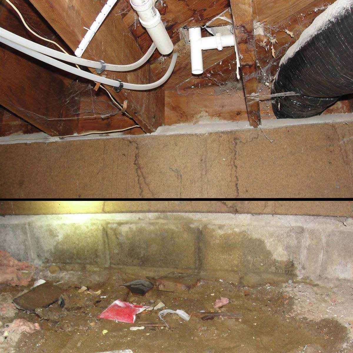 Who needs a “Pee”-trap?