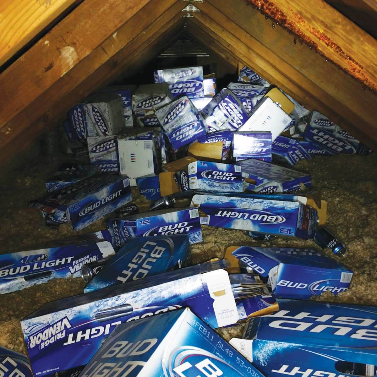 Beer case insulation