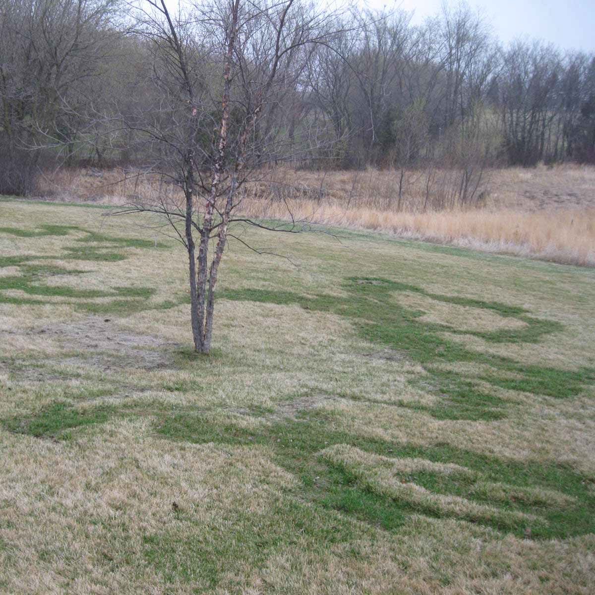 Long and winding road