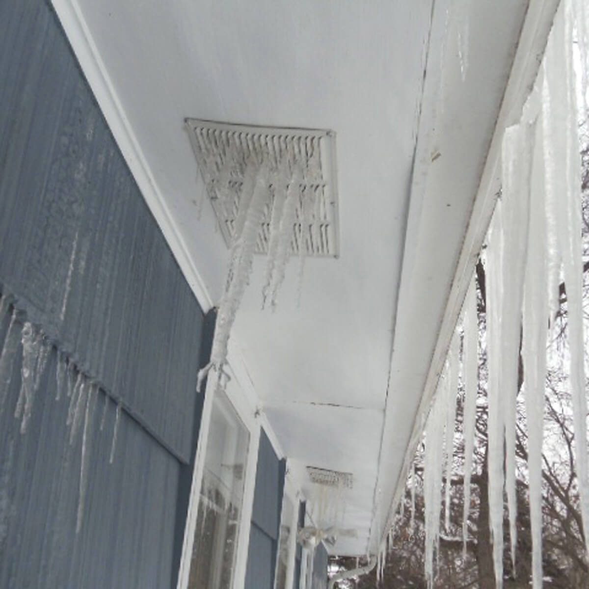 Walking in the winter wonderland