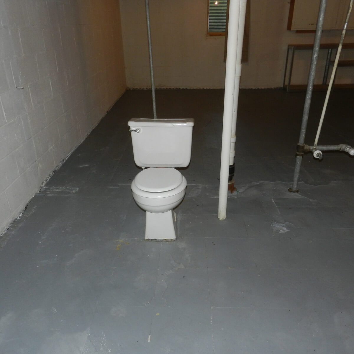 Porcelain throne for the uninhibited