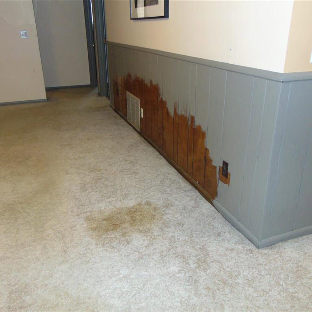 Guess where the couch was...