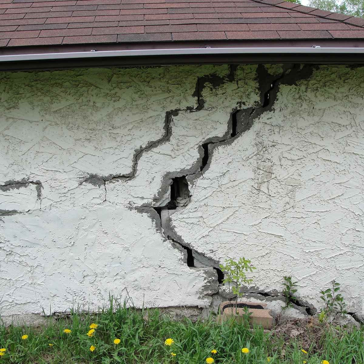 Stan and Andrea’s fault