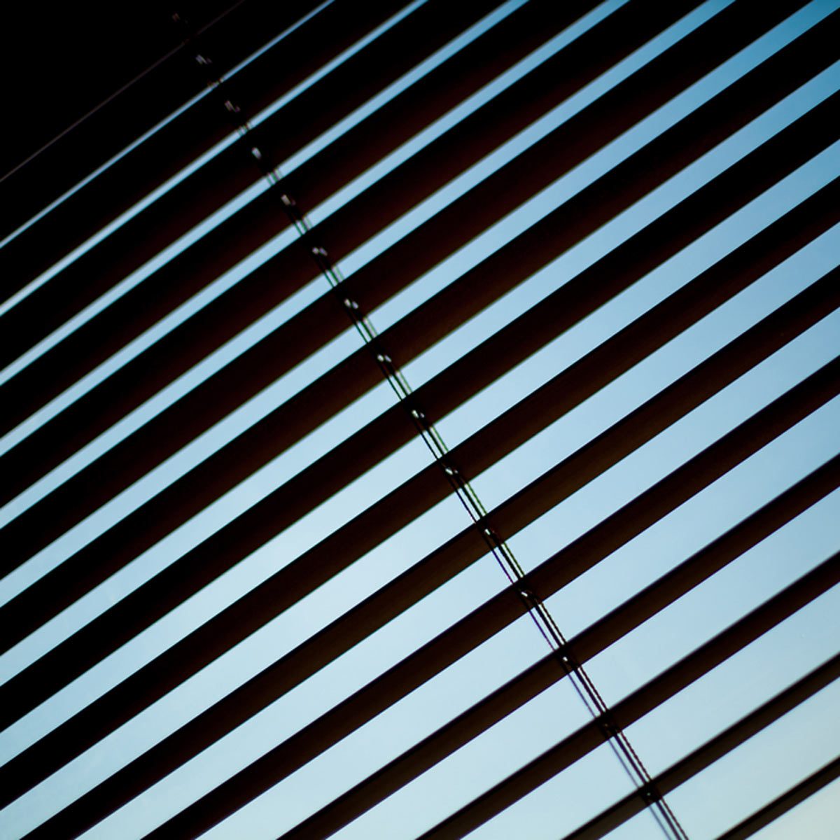 Horizontal wooden blinds cover a window, casting shadows with slanted light filtering through. The background shows a bright blue sky beyond the blinds.