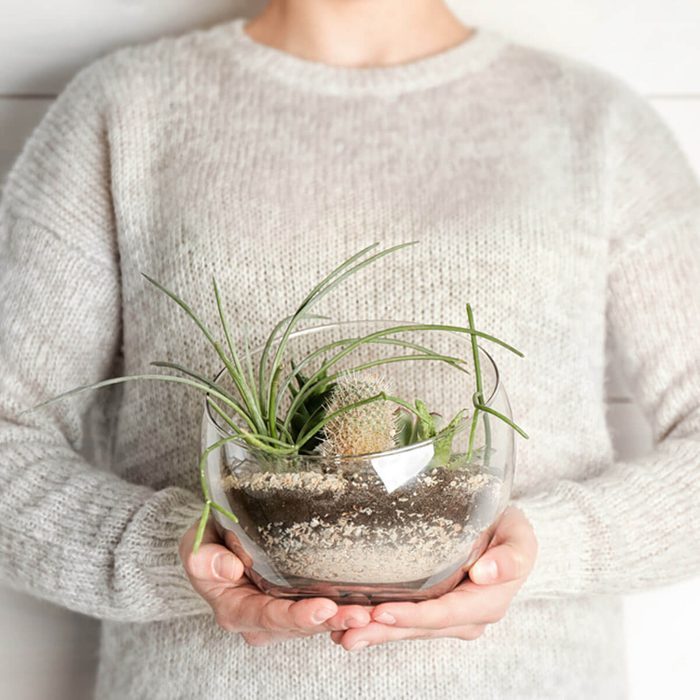 A person holds a clear glass bowl containing plants and soil, wearing a light sweater, against a neutral background.