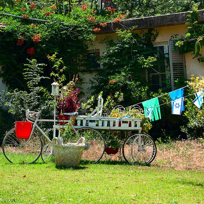 dfh1_shutterstock_654709843 bike mobile cart
