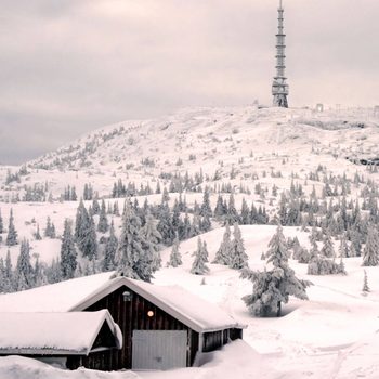 A snowy cabin rests in a winter landscape, with tall, frost-covered trees surrounding it and a telecommunications tower visible on a distant hill.