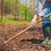 Soil Prep 101: The Essential Steps for a Thriving Vegetable Garden