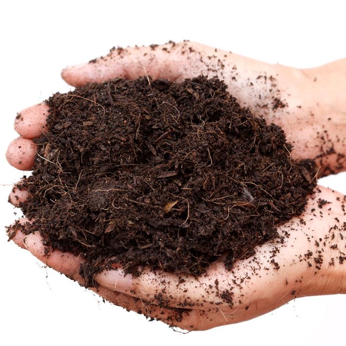 handful of soil how to prepare soil for garden
