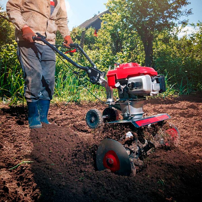 how to prepare soil for garden till