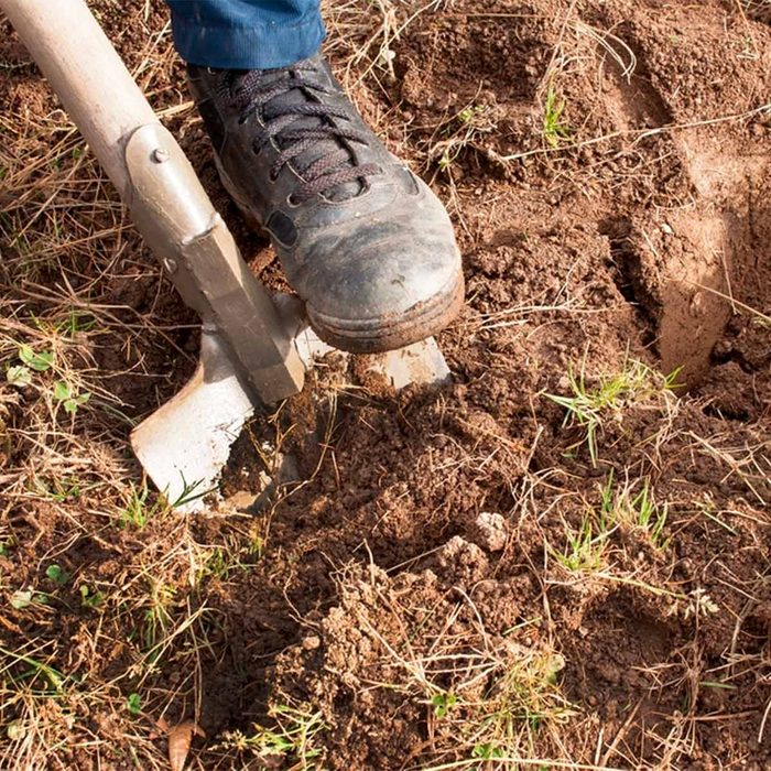 shovel digging