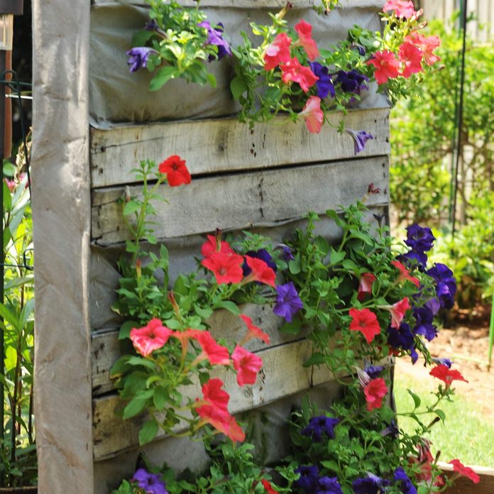pallet flower walls