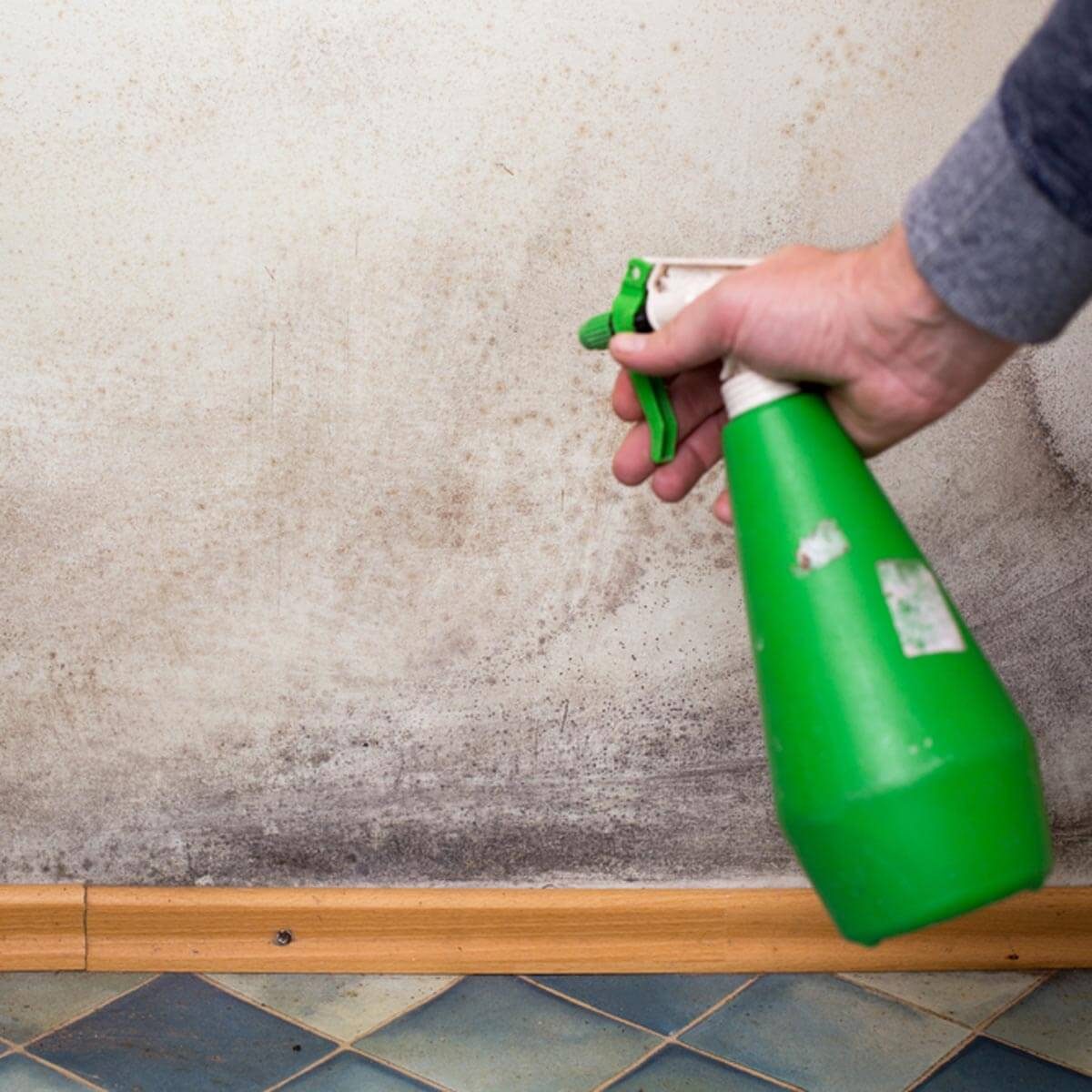 A hand holds a green spray bottle, spraying a wall with visible mold and stains, while standing on a tiled floor near wooden baseboards.