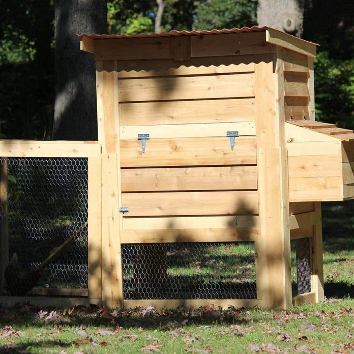 smart chicken coop