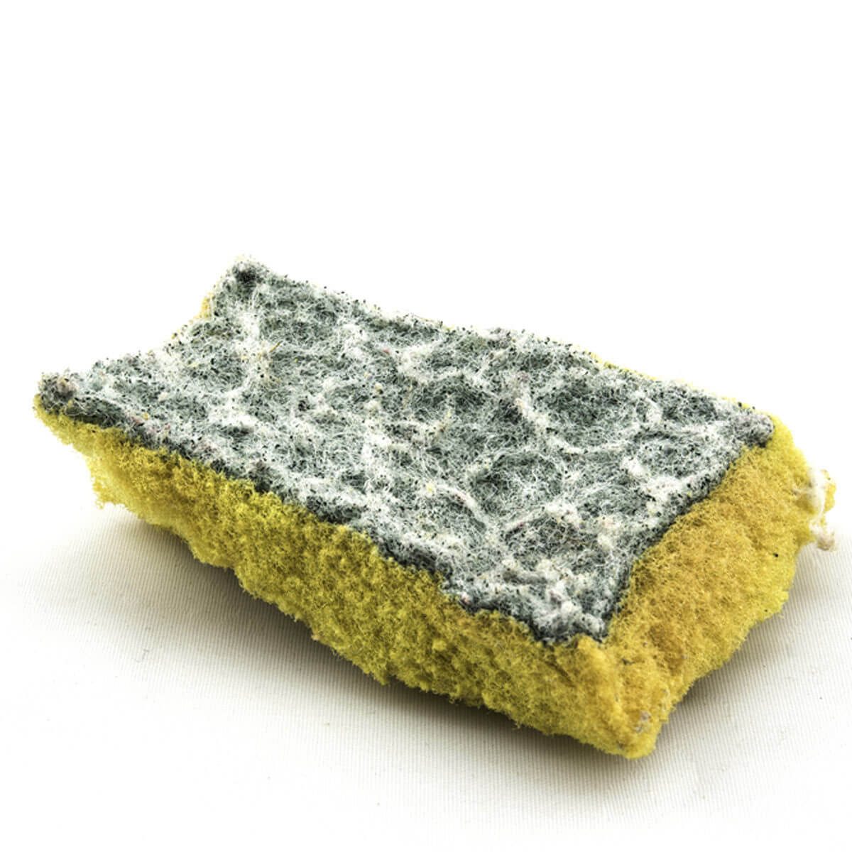 Kitchen Sponge