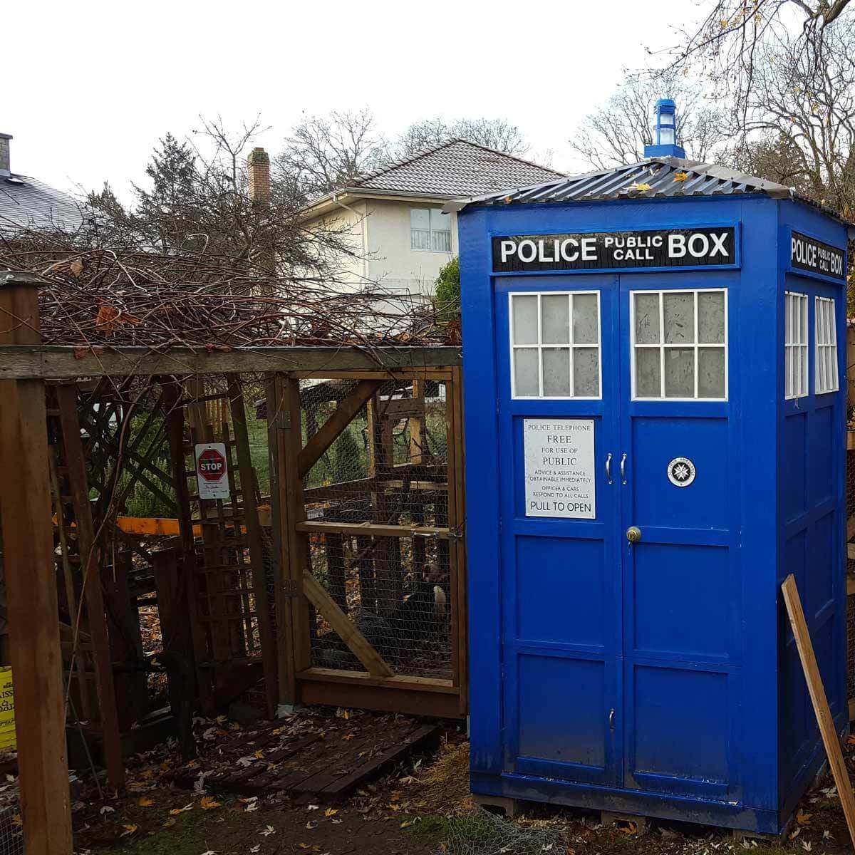tardis chicken coop dr who unique chicken coops