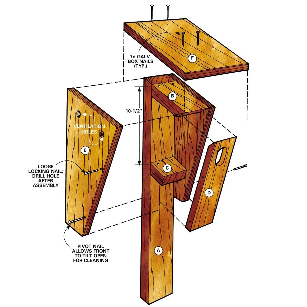 bluebird house step 5