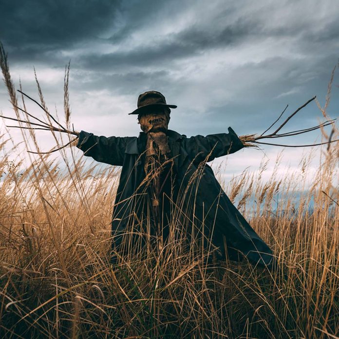 scary scarecrow