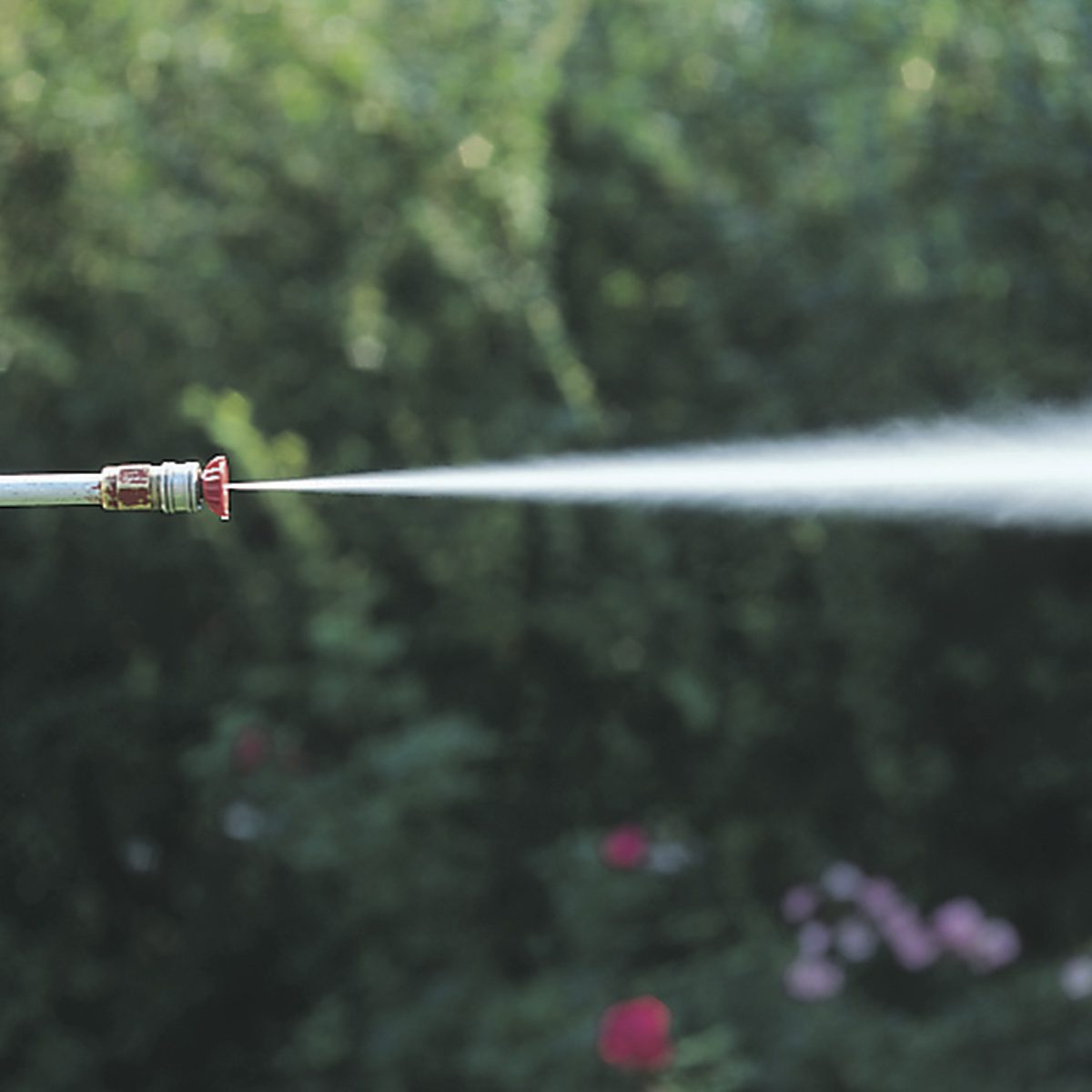 A garden hose nozzle sprays water toward greenery and blooming flowers, creating a refreshing mist in a vibrant, lush environment.
