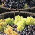 How To Grow Grapes in the Home Garden