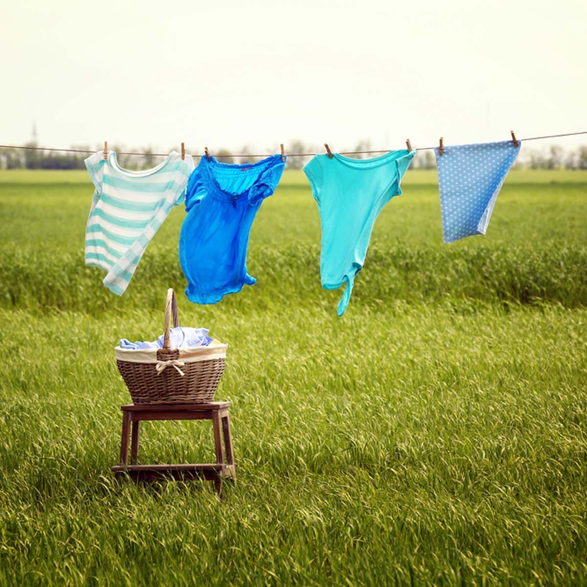 clothesline