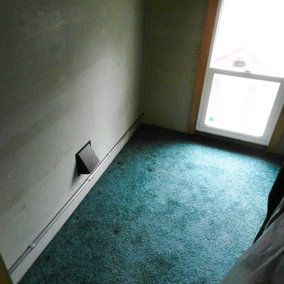 A small room features a carpeted floor, a window letting in light, and a wall with a black object mounted near the floor.