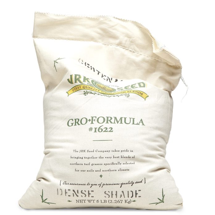 shade grass seed