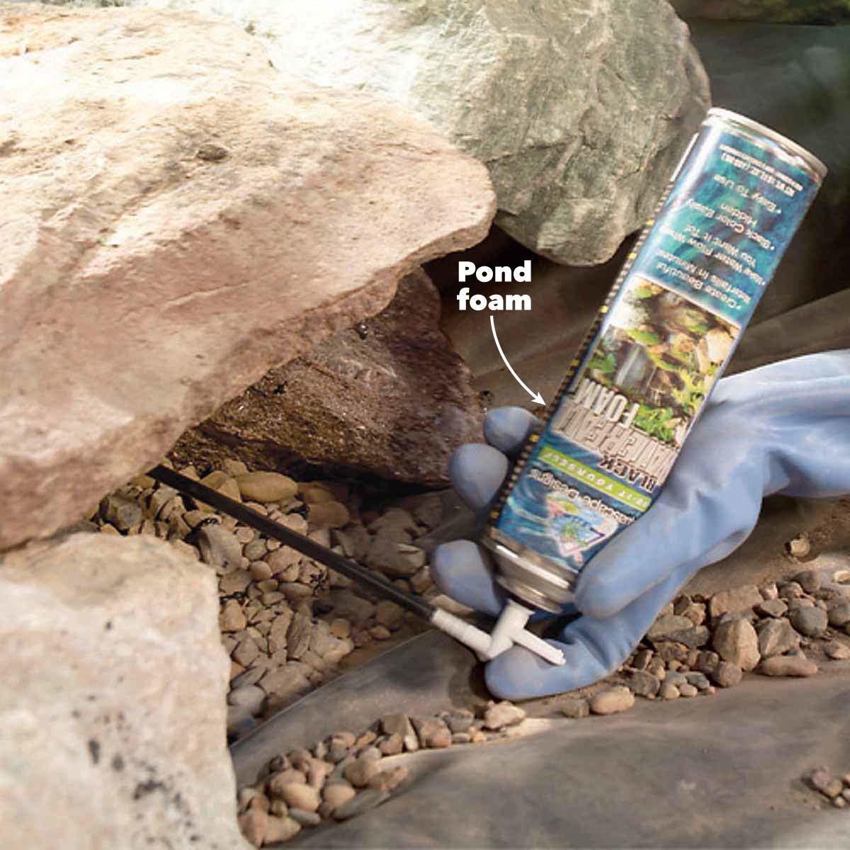 backyard fish pond foam