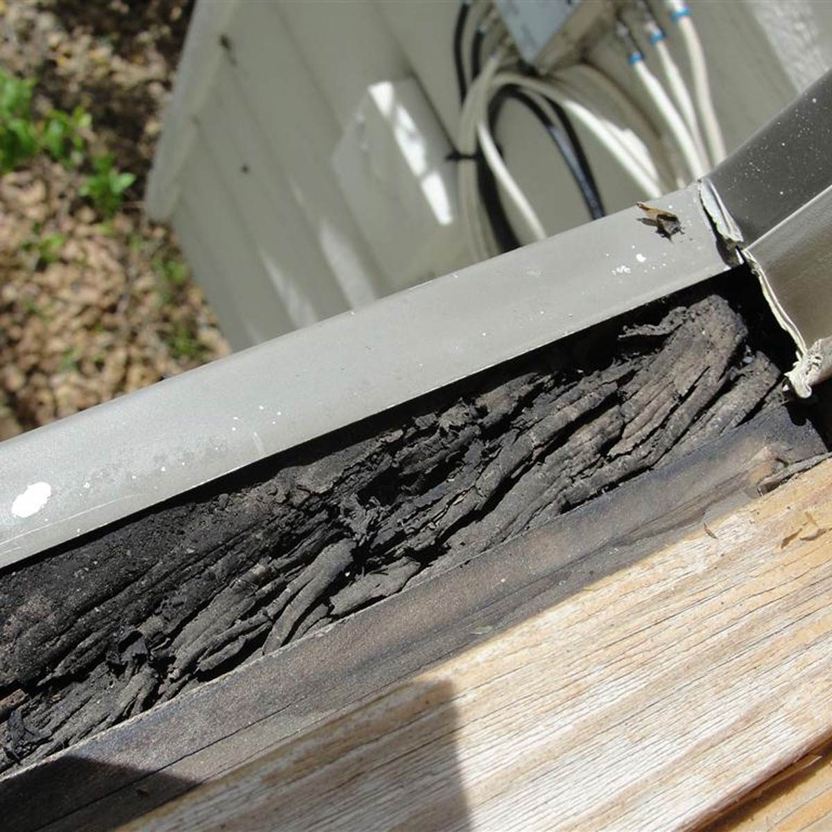 A section of damaged wood reveals layers of rotting material, located beneath a metal flashing at a building's edge, surrounded by an outdoor setting.