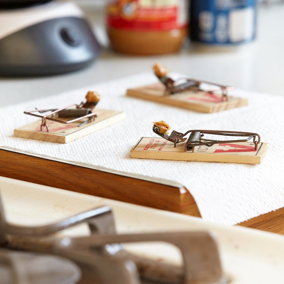 table with 3 mouse traps on top of it
