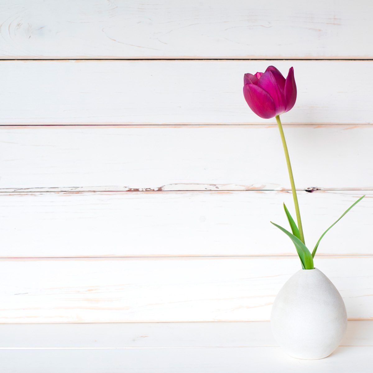 The Pros and Cons of Shiplap