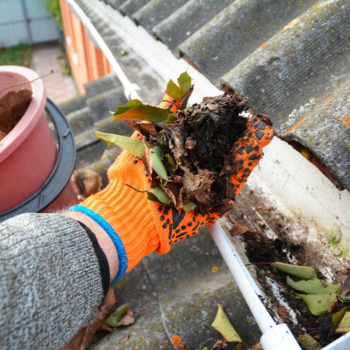 A hand in an orange glove holds debris while cleaning leaves from a gutter on a sloped roof, with a garden pot visible in the background.