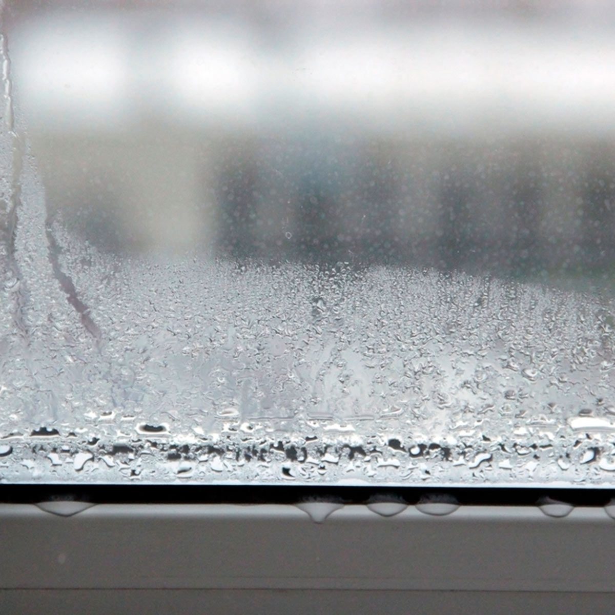 A window covered in water droplets, with condensation pooling along the bottom edge, suggests a rainy or humid atmosphere outside.