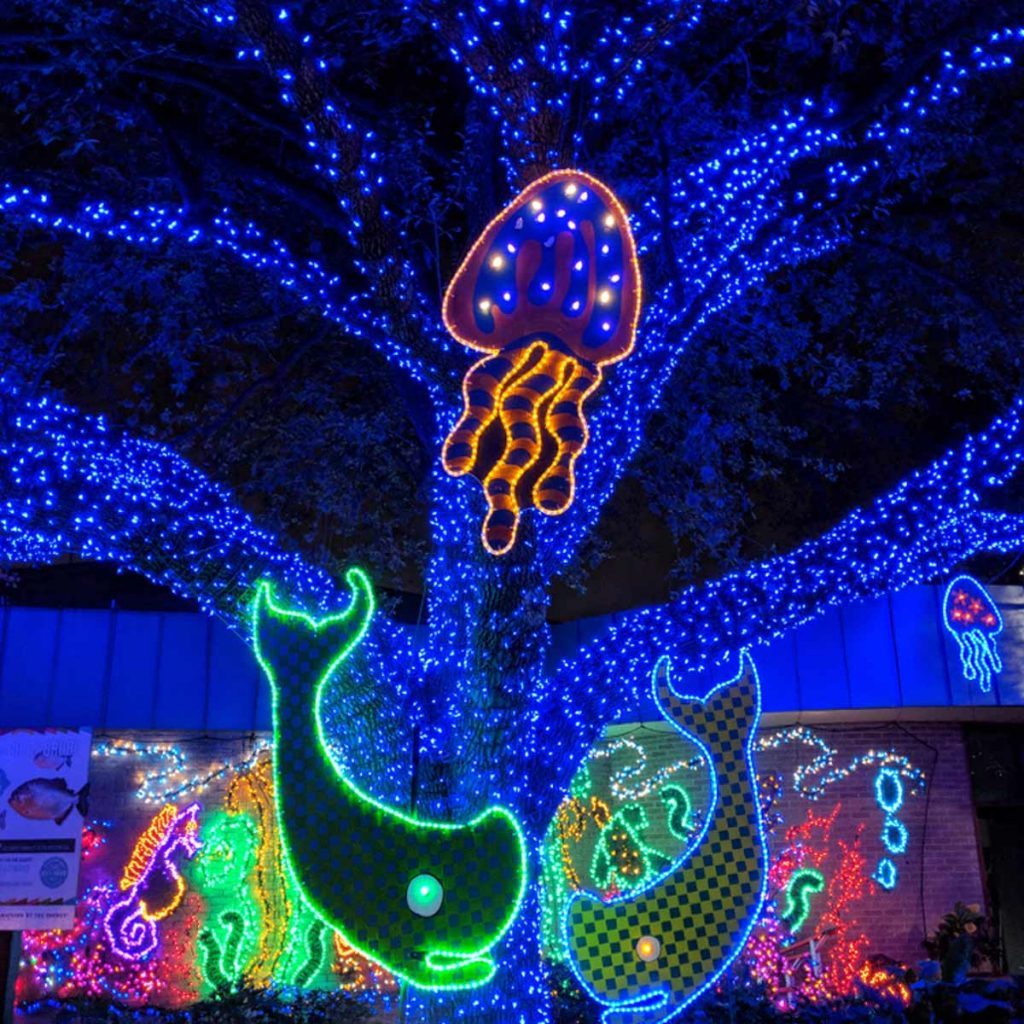 Houston Christmas Lights