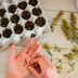 10 Tips for Growing Plants From Seed Successfully