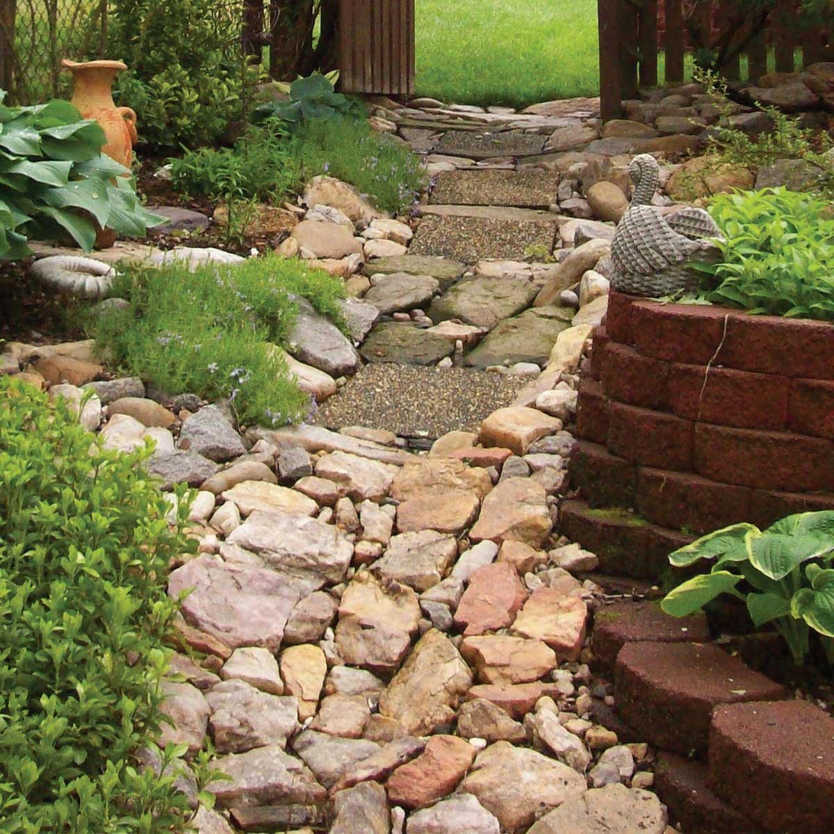 FH11MAR_516_50_R01-1200 lawn problems