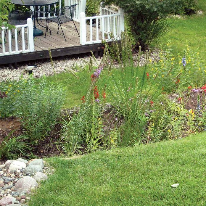 FH11MAR_516_50_R11-1200 lawn problems