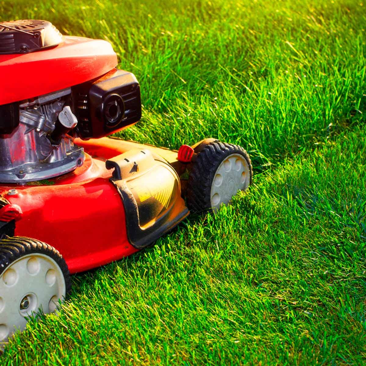 lawn mower cutting grass