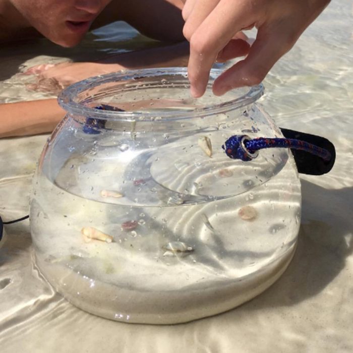 A person gently probes a clear fishbowl filled with water and sand, observing seashells while lying on a sunlit, shallow beach.
