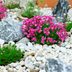 Tips for the Perfect River Rock Flower Bed