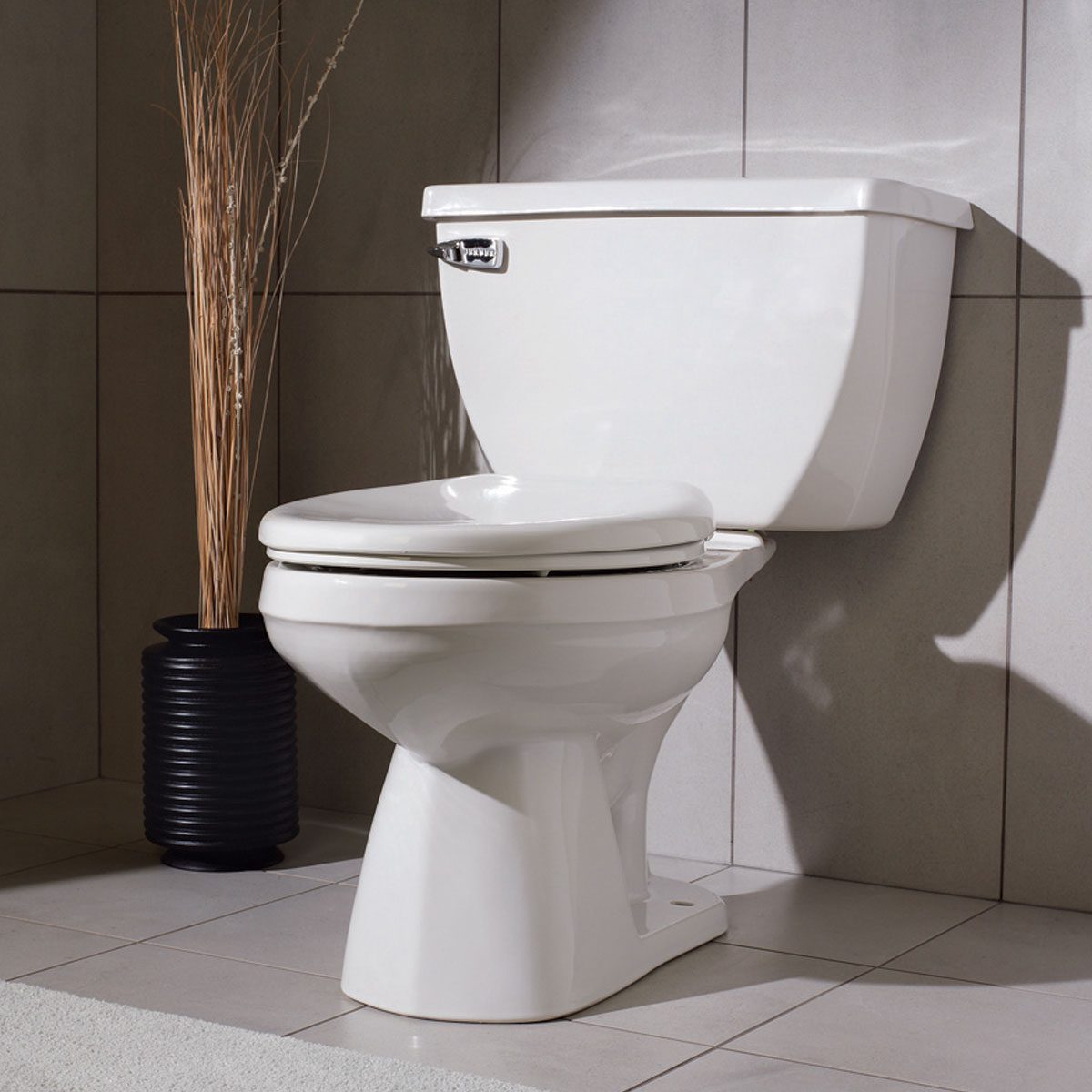How To Choose the Best Toilet for Your Home